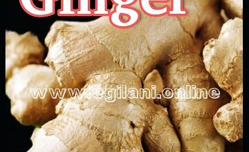 Ginger
