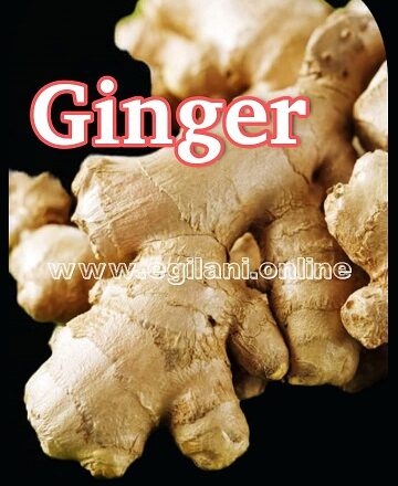 Ginger